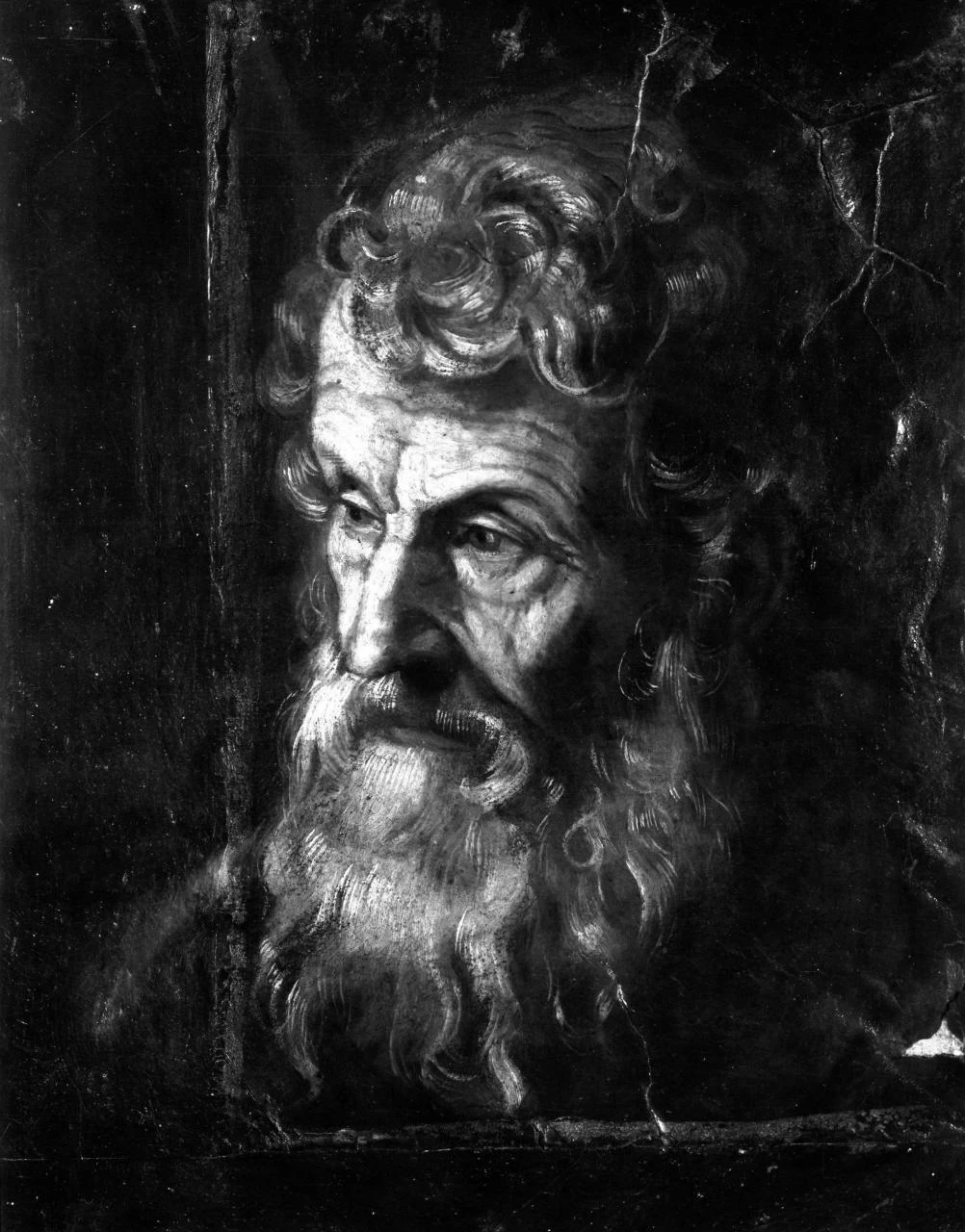 Testa d'uomo con barba - Firenze 4